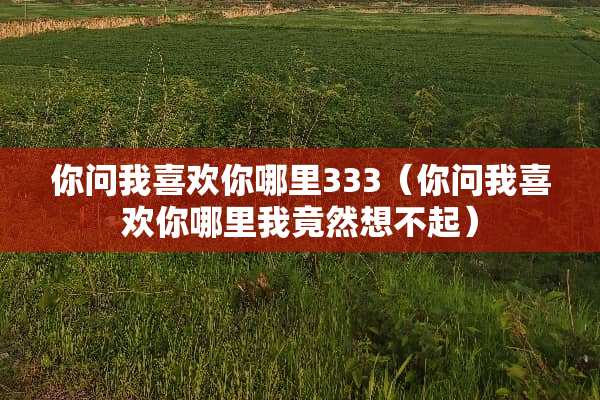 你问我喜欢你哪里333（你问我喜欢你哪里我竟然想不起）