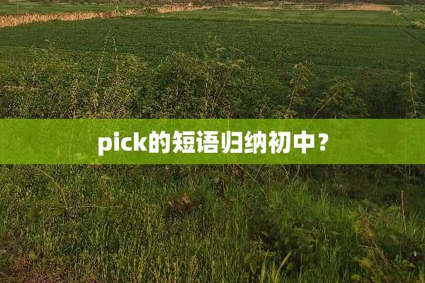 pick的短语归纳初中？