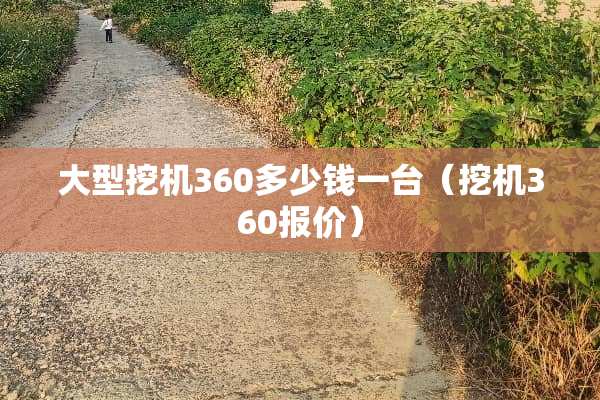 大型挖机360多少钱一台（挖机360报价）