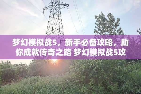 梦幻模拟战5,新手必备攻略,助你成就传奇之路 梦幻模拟战5攻略 梦幻模拟战5,新手必备攻略,助你成就传奇之路 梦幻模拟战5攻略