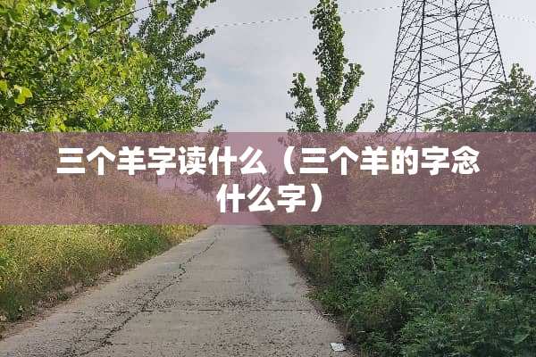 三个羊字读什么（三个羊的字念什么字）