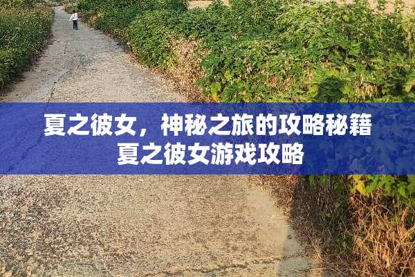 夏之彼女，神秘之旅的攻略秘籍 夏之彼女游戏攻略