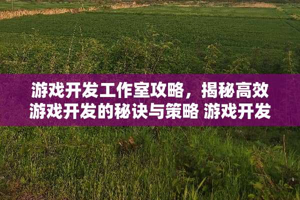 游戏开发工作室攻略，揭秘高效游戏开发的秘诀与策略 游戏开发工作室攻略