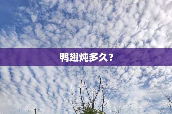 鸭翅炖多久？