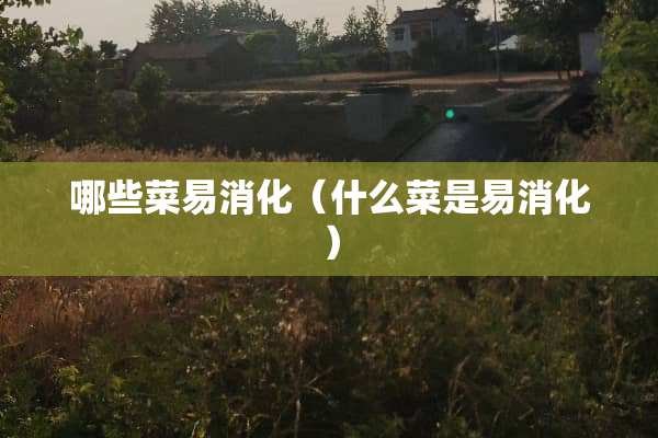 哪些菜易消化（什么菜是易消化）