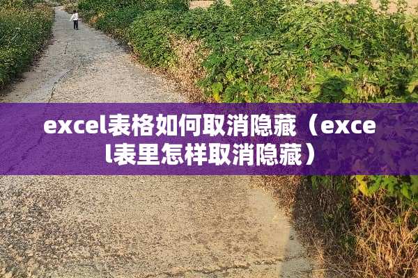 excel表格如何取消隐藏(excel表里怎样取消隐藏) excel表格如何取消隐藏(excel表里怎样取消隐藏)