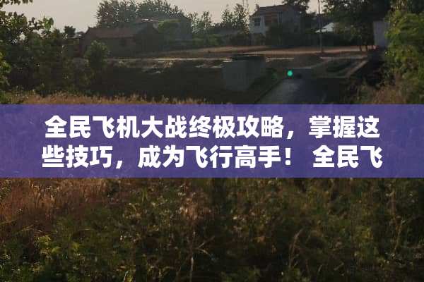 全民飞机大战终极攻略，掌握这些技巧，成为飞行高手！ 全民飞机大战攻略