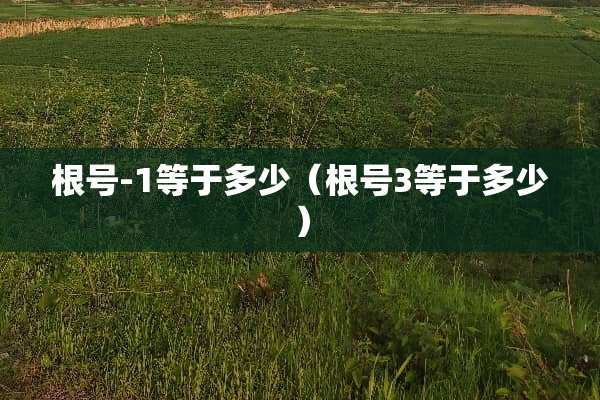 根号-1等于多少（根号3等于多少）
