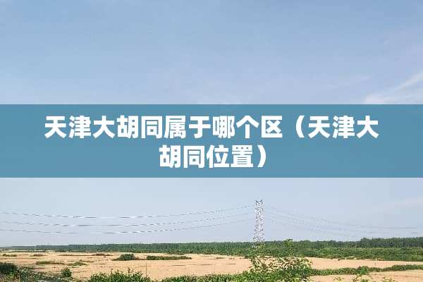 天津大胡同属于哪个区（天津大胡同位置）