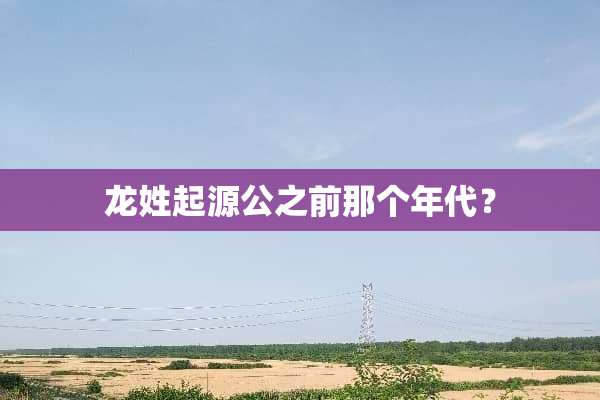 龙姓起源公之前那个年代？