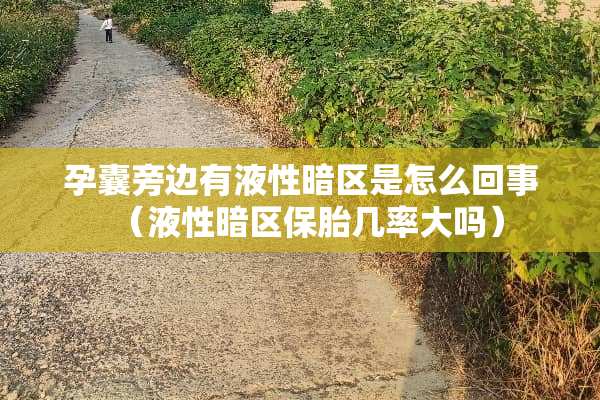 孕囊旁边有液性暗区是怎么回事（液性暗区保胎几率大吗）