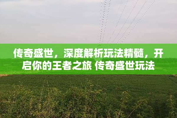 传奇盛世，深度解析玩法精髓，开启你的王者之旅 传奇盛世玩法