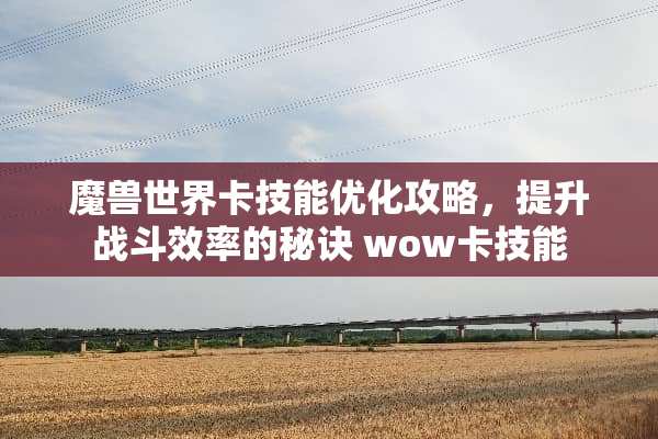 魔兽世界卡技能优化攻略，提升战斗效率的秘诀 wow卡技能