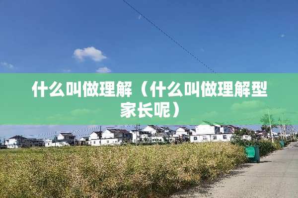 什么叫做理解（什么叫做理解型家长呢）