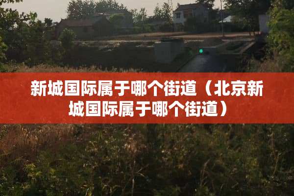 新城国际属于哪个街道（北京新城国际属于哪个街道）