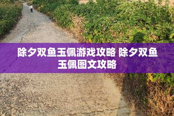 除夕双鱼玉佩游戏攻略 除夕双鱼玉佩图文攻略