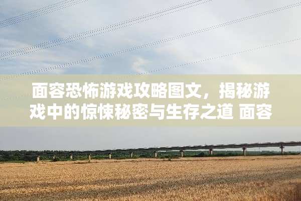 面容恐怖游戏攻略图文,揭秘游戏中的惊悚秘密与生存之道 面容恐怖游戏攻略图文 面容恐怖游戏攻略图文,揭秘游戏中的惊悚秘密与生存之道 面容恐怖游戏攻略图文