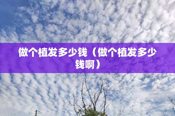 做个植发多少钱（做个植发多少钱啊）