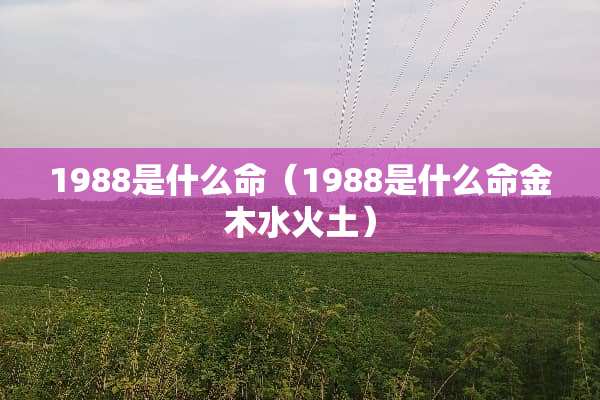 1988是什么命（1988是什么命金木水火土）