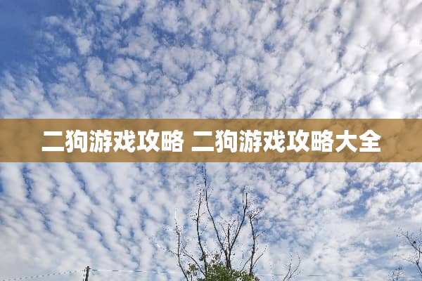 二狗游戏攻略 二狗游戏攻略大全