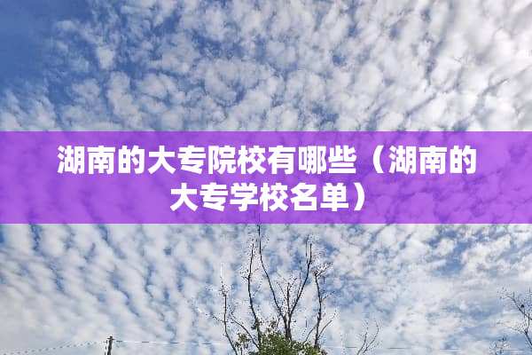 湖南的大专院校有哪些（湖南的大专学校名单）