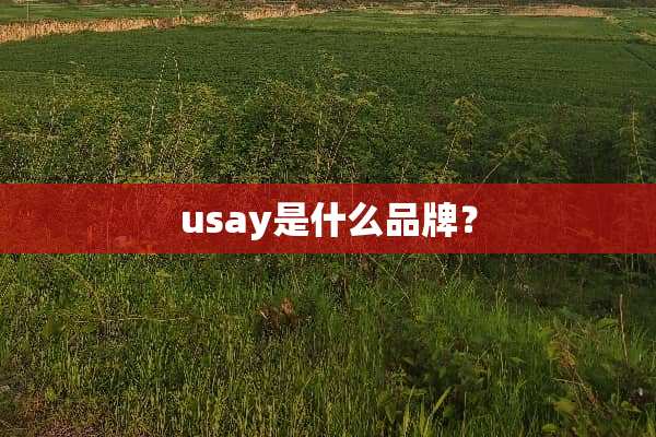usay是什么品牌？