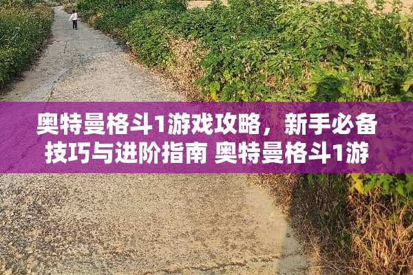 奥特曼格斗1游戏攻略，新手必备技巧与进阶指南 奥特曼格斗1游戏攻略