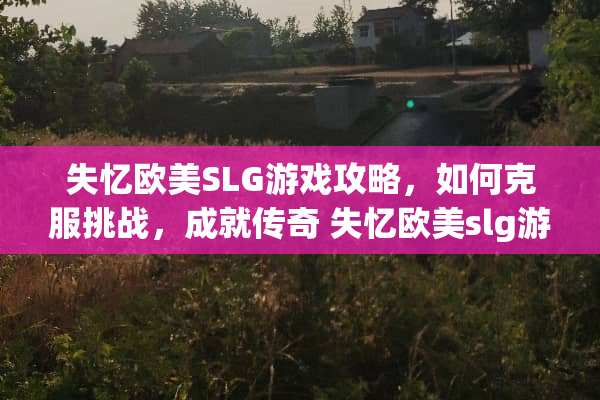 失忆欧美SLG游戏攻略，如何克服挑战，成就传奇 失忆欧美slg游戏攻略