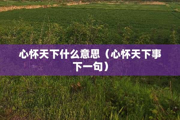 心怀天下什么意思（心怀天下事下一句）