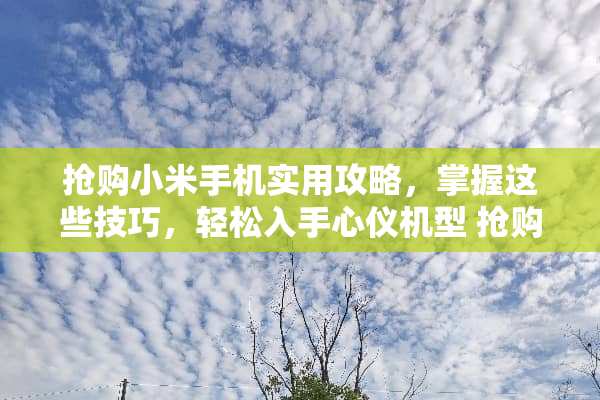 抢购小米手机实用攻略，掌握这些技巧，轻松入手心仪机型 抢购小米攻略