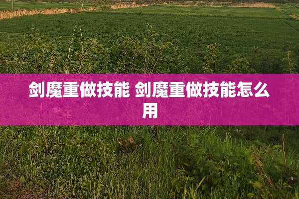 **重做技能 **重做技能怎么用