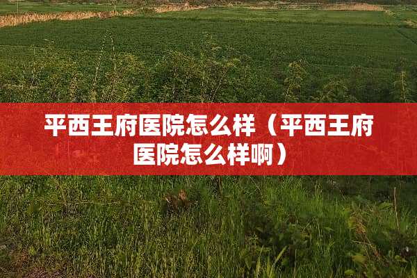 平西王府医院怎么样（平西王府医院怎么样啊）
