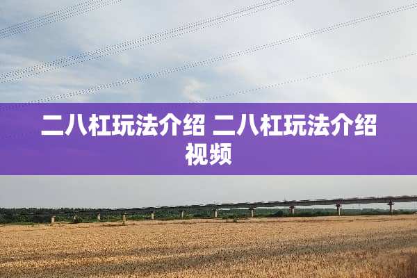 二八杠玩法介绍 二八杠玩法介绍视频
