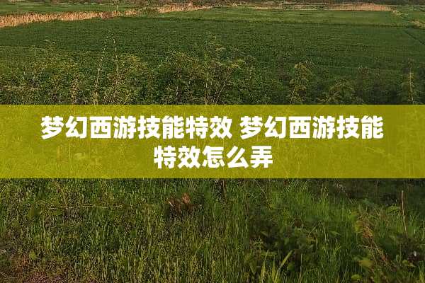 梦幻西游技能特效 梦幻西游技能特效怎么弄