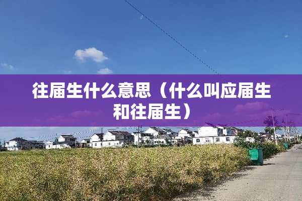 往届生什么意思（什么叫应届生和往届生）