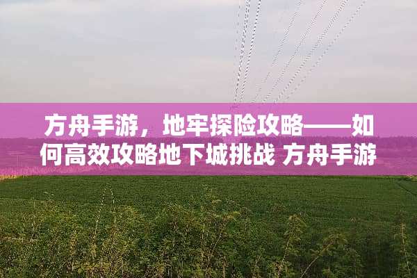 方舟手游，地牢探险攻略——如何高效攻略**城挑战 方舟手游地牢攻略