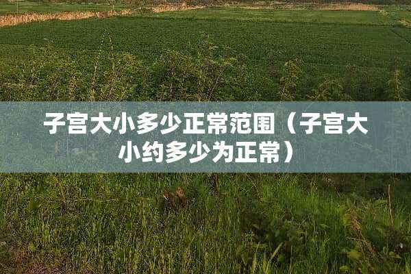 子宫大小多少正常范围（子宫大小约多少为正常）