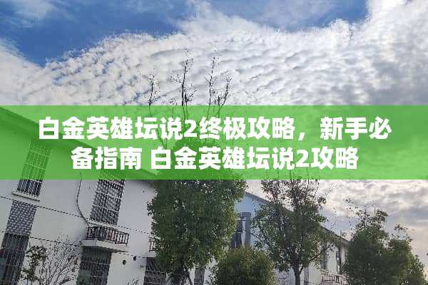 白金英雄坛说2终极攻略，新手必备指南 白金英雄坛说2攻略