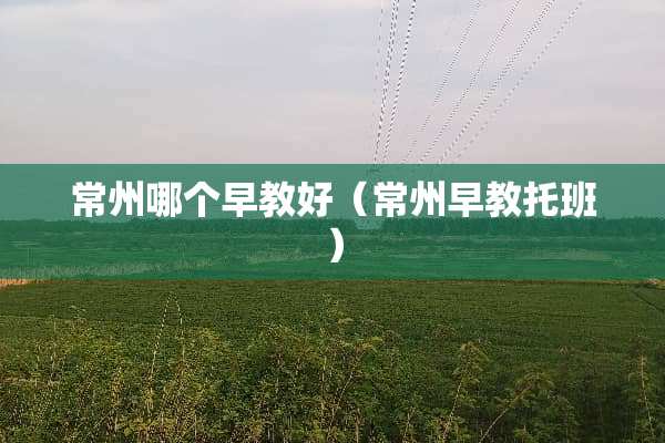 常州哪个早教好(常州早教托班) 常州哪个早教好(常州早教托班)