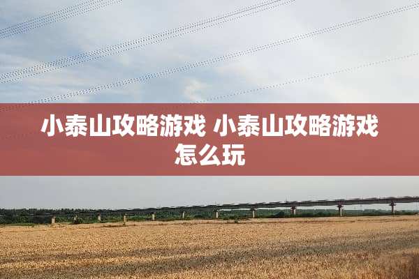 小泰山攻略游戏 小泰山攻略游戏怎么玩