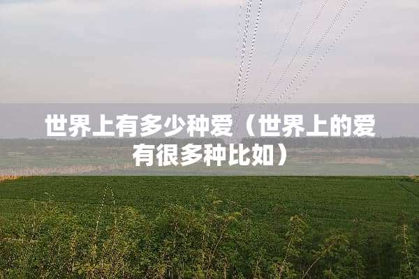 世界上有多少种爱（世界上的爱有很多种比如）