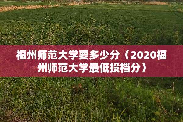 福州师范大学要多少分（2020福州师范大学最低投档分）