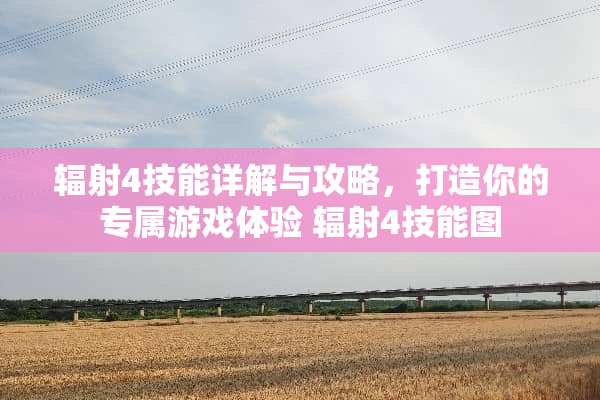 辐射4技能详解与攻略，打造你的专属游戏体验 辐射4技能图