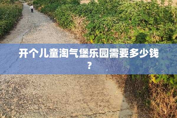 开个儿童淘气堡乐园需要多少钱？