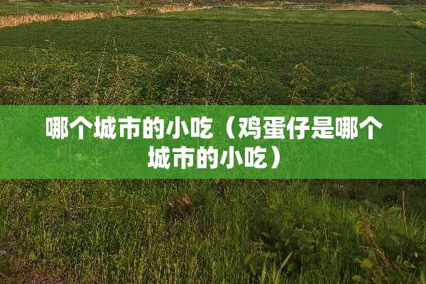 哪个城市的小吃（鸡蛋仔是哪个城市的小吃）