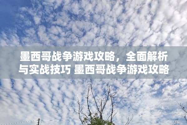 墨西哥战争游戏攻略，全面解析与实战技巧 墨西哥战争游戏攻略