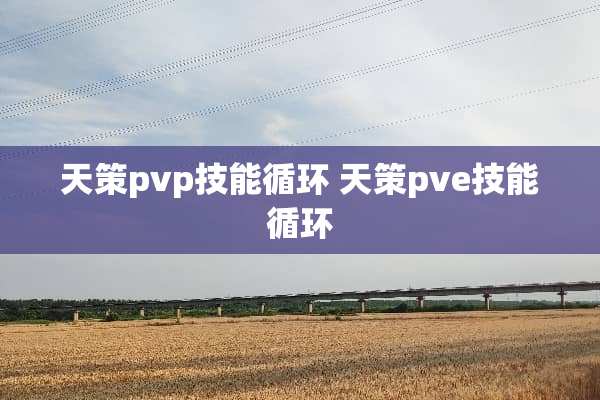 天策pvp技能循环 天策pve技能循环 天策pvp技能循环 天策pve技能循环