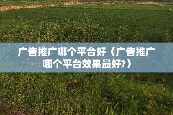 广告推广哪个平台好（广告推广哪个平台效果最好?）