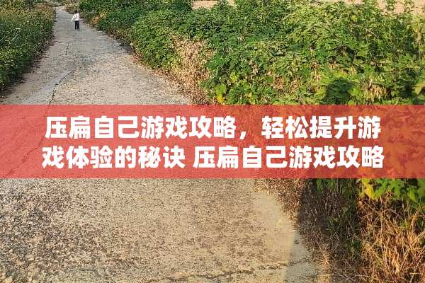 压扁自己游戏攻略，轻松提升游戏体验的秘诀 压扁自己游戏攻略