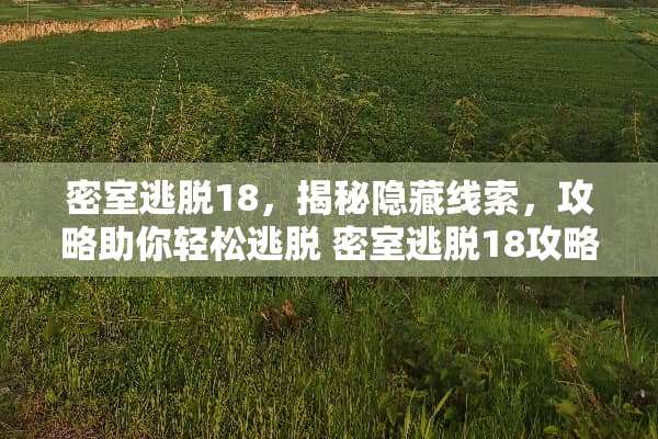 密室逃脱18,揭秘隐藏线索,攻略助你轻松逃脱 密室逃脱18攻略 密室逃脱18,揭秘隐藏线索,攻略助你轻松逃脱 密室逃脱18攻略
